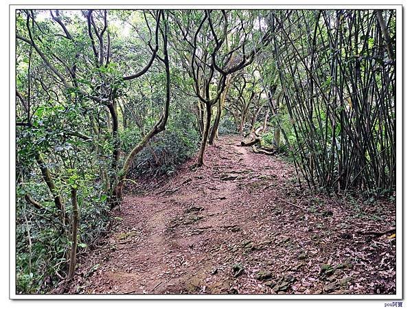 龜山 大湖頂山 大棟山 關公嶺