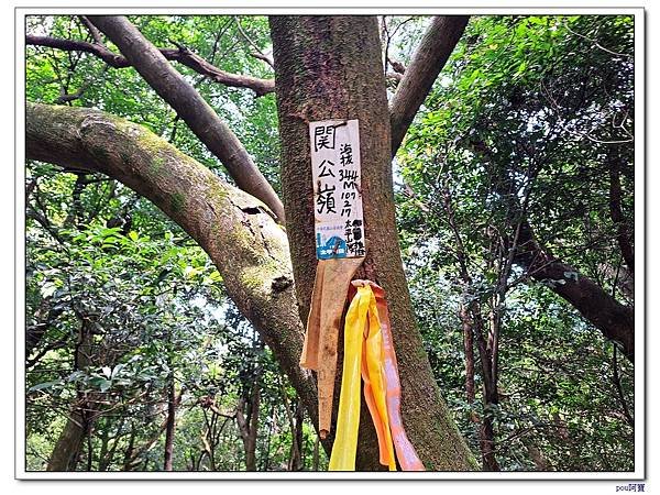 龜山 大湖頂山 大棟山 關公嶺