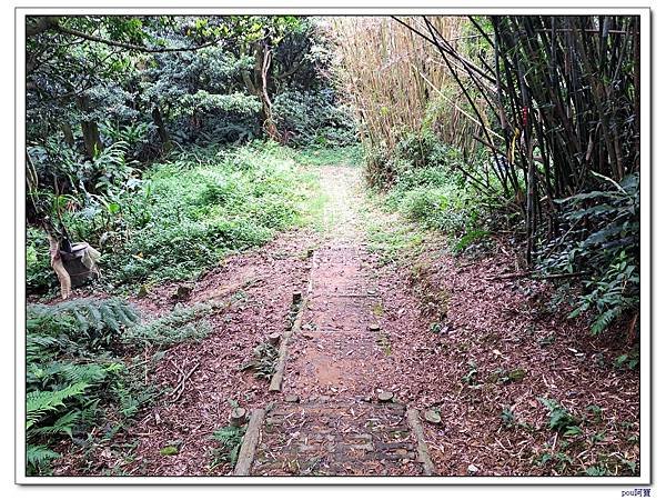 龜山 大湖頂山 大棟山 關公嶺