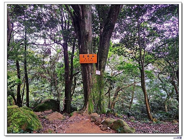 土城 南天母山 五城山