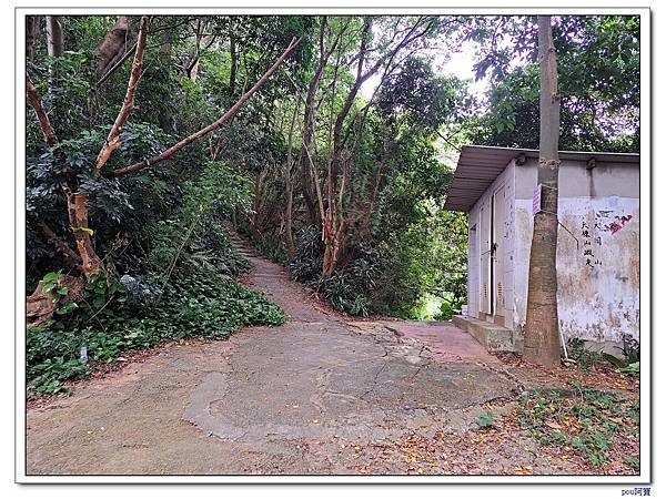 樹林 新北市武器公園 三福山 三角埔頂山 青龍嶺