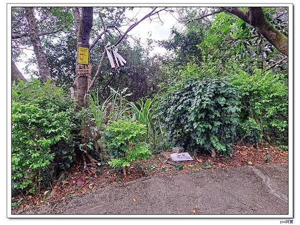樹林 新北市武器公園 三福山 三角埔頂山 青龍嶺