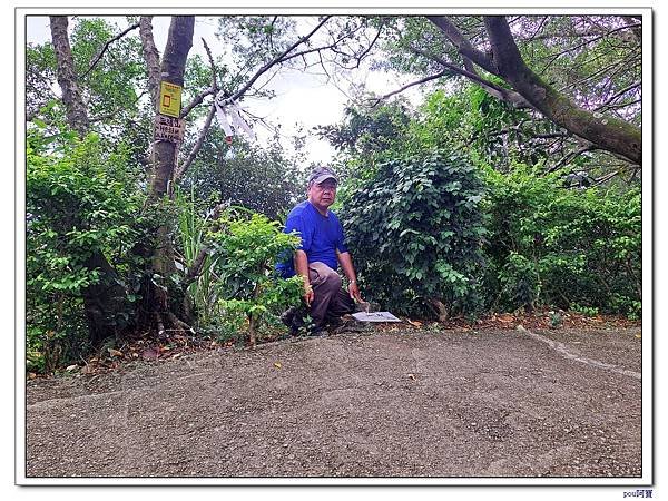 樹林 新北市武器公園 三福山 三角埔頂山 青龍嶺