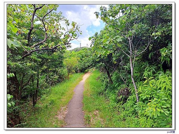 樹林 新北市武器公園 三福山 三角埔頂山 青龍嶺