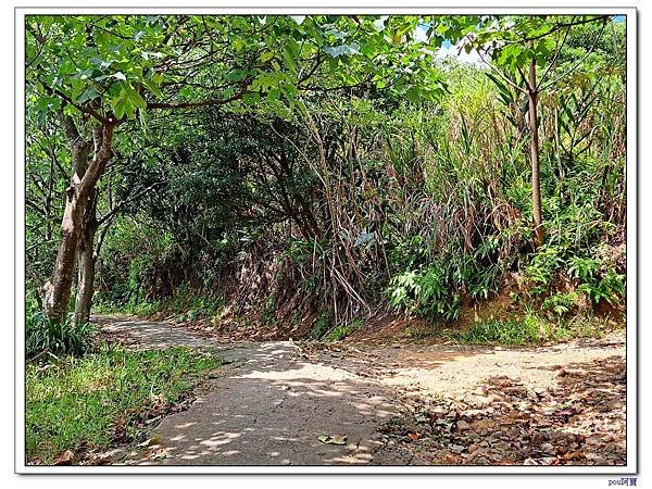 樹林 新北市武器公園 三福山 三角埔頂山 青龍嶺