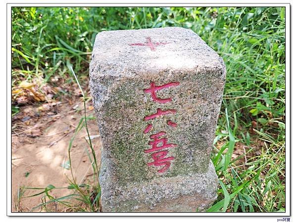 樹林 新北市武器公園 三福山 三角埔頂山 青龍嶺