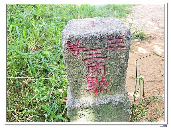 樹林 新北市武器公園 三福山 三角埔頂山 青龍嶺
