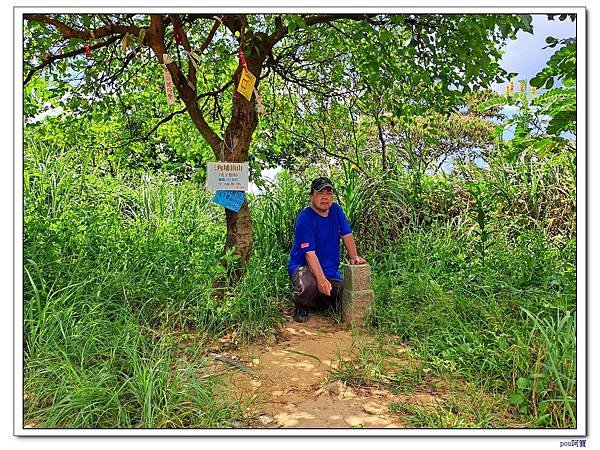 樹林 新北市武器公園 三福山 三角埔頂山 青龍嶺