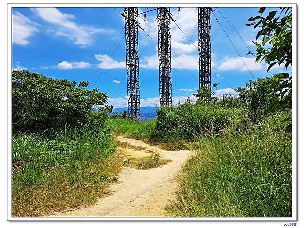 樹林 新北市武器公園 三福山 三角埔頂山 青龍嶺