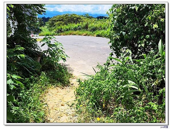 樹林 新北市武器公園 三福山 三角埔頂山 青龍嶺