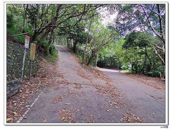 樹林 新北市武器公園 三福山 三角埔頂山 青龍嶺