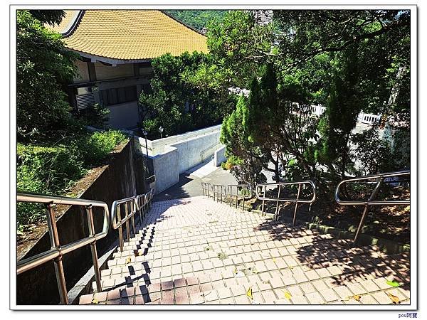 樹林 新北市武器公園 三福山 三角埔頂山 青龍嶺