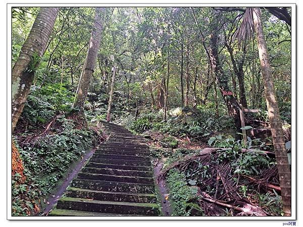 土城 南天母山 天上山