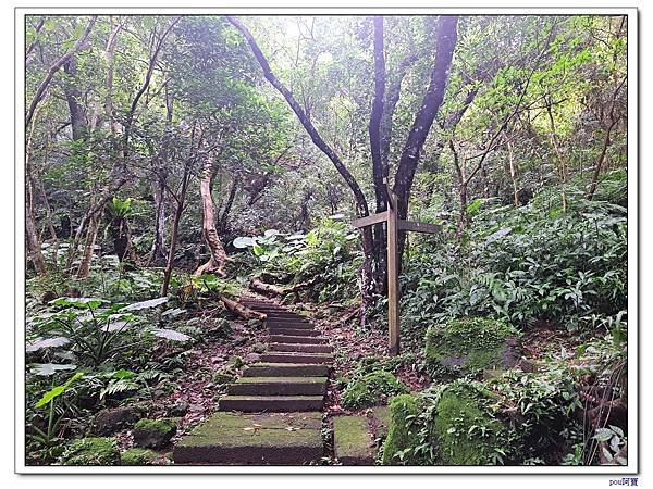 土城 南天母山 天上山