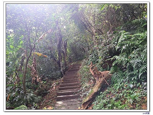 土城 南天母山 天上山