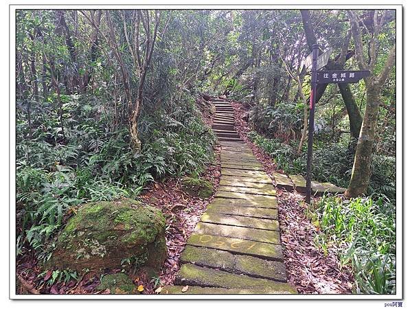 土城 南天母山 天上山