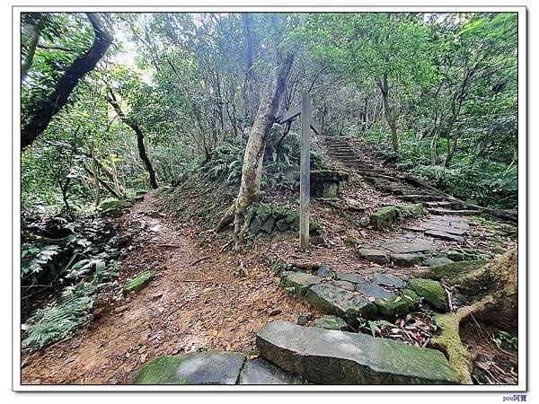 土城 南天母山 天上山