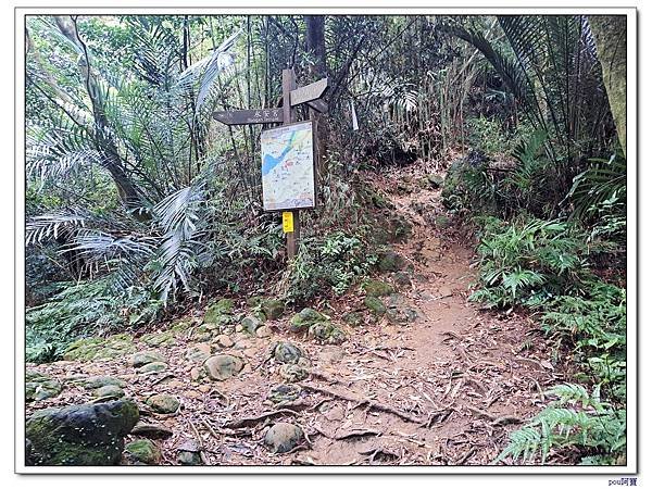 三峽 鳶山彩壁 福德坑山