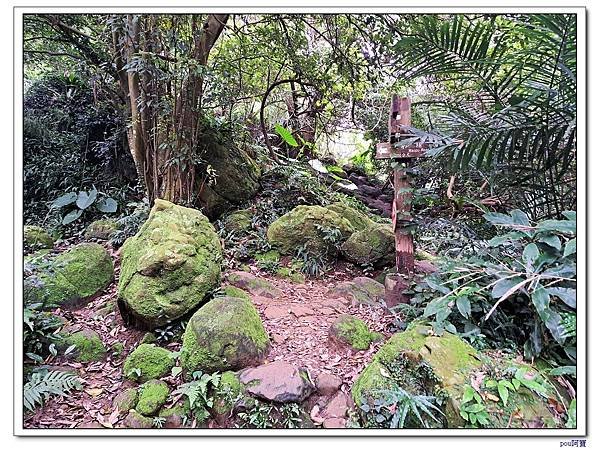 三峽 鳶山彩壁 福德坑山