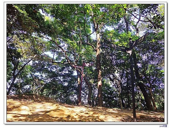 鶯歌 鶯歌石山 牛灶坑山 龜公山
