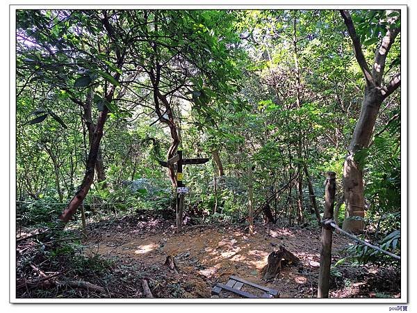 鶯歌 鶯歌石山 牛灶坑山 龜公山