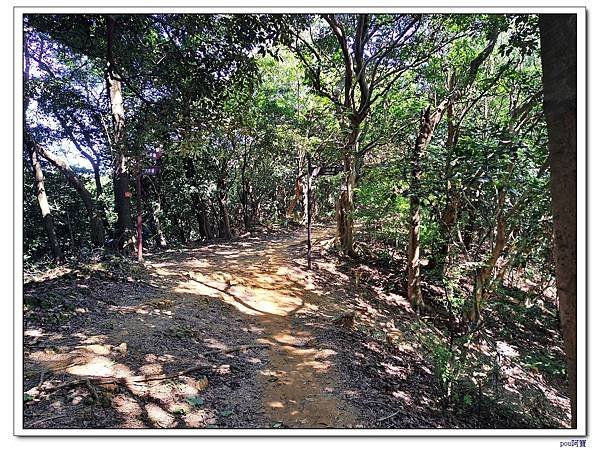 鶯歌 鶯歌石山 牛灶坑山 龜公山