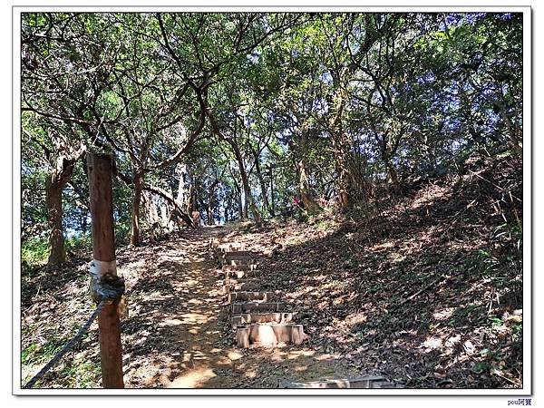 鶯歌 鶯歌石山 牛灶坑山 龜公山
