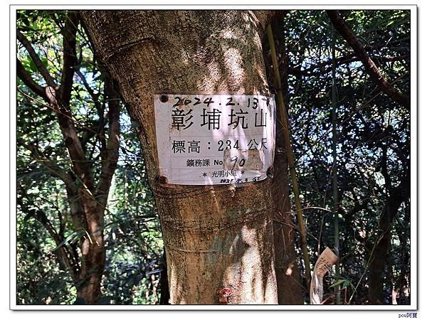 鶯歌 鶯歌石山 牛灶坑山 龜公山