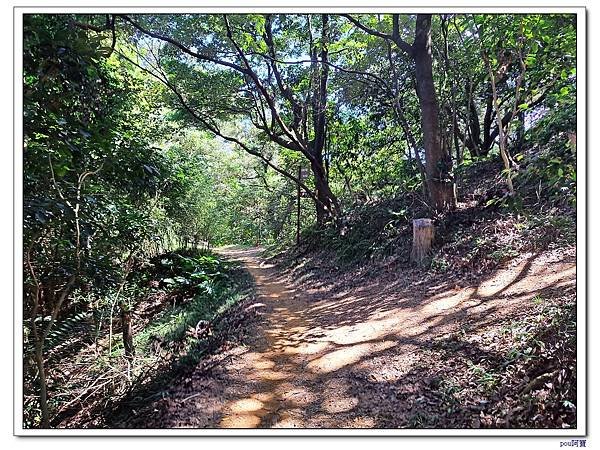 鶯歌 鶯歌石山 牛灶坑山 龜公山