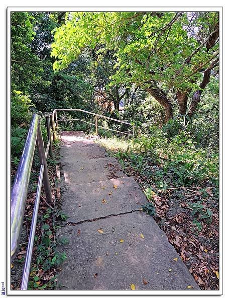 鶯歌 鶯歌石山 牛灶坑山 龜公山