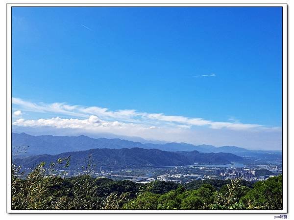 鶯歌 百年大榕樹 福源山 石雲禪寺 石灰坑山