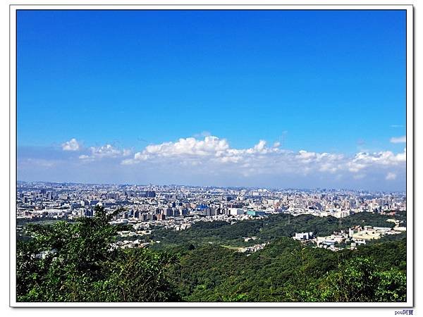 鶯歌 百年大榕樹 福源山 石雲禪寺 石灰坑山
