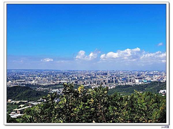 鶯歌 百年大榕樹 福源山 石雲禪寺 石灰坑山