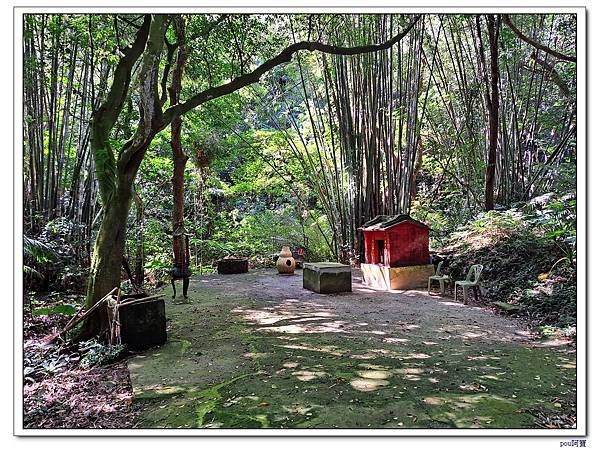 鶯歌 百年大榕樹 福源山 石雲禪寺 石灰坑山