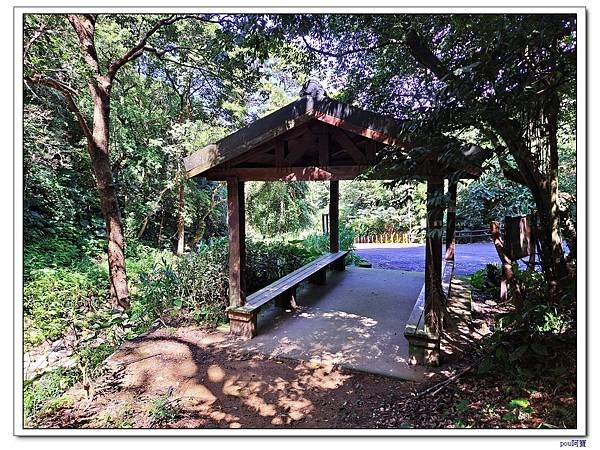 鶯歌 百年大榕樹 福源山 石雲禪寺 石灰坑山