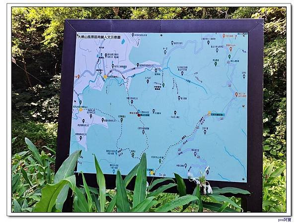 鶯歌 百年大榕樹 福源山 石雲禪寺 石灰坑山
