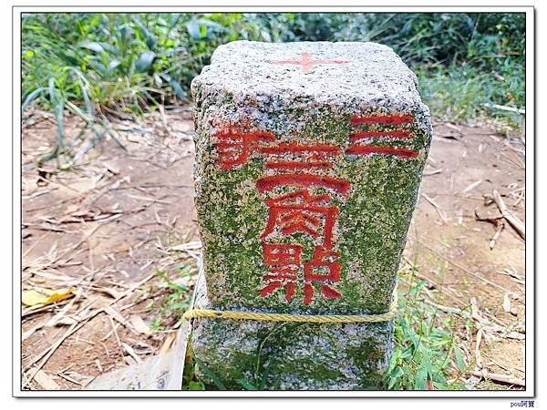 鶯歌 百年大榕樹 福源山 石雲禪寺 石灰坑山