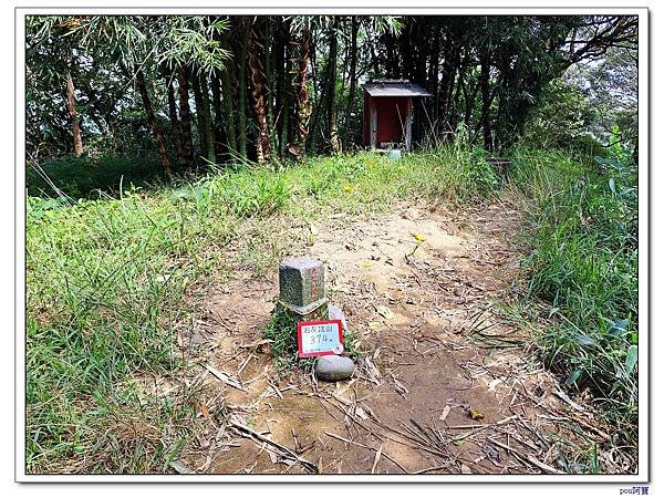 鶯歌 百年大榕樹 福源山 石雲禪寺 石灰坑山