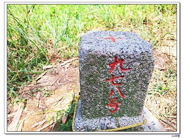 鶯歌 百年大榕樹 福源山 石雲禪寺 石灰坑山