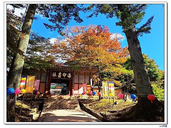 韓國 海印寺