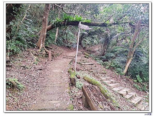 土城 文筆山 五城山 太極嶺