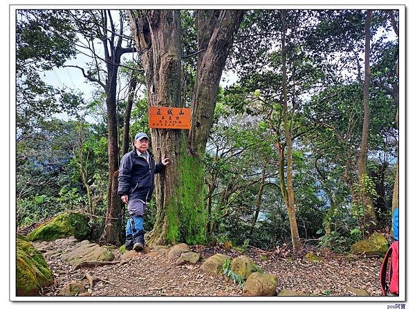 土城 文筆山 五城山 太極嶺