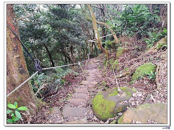 土城 文筆山 五城山 太極嶺