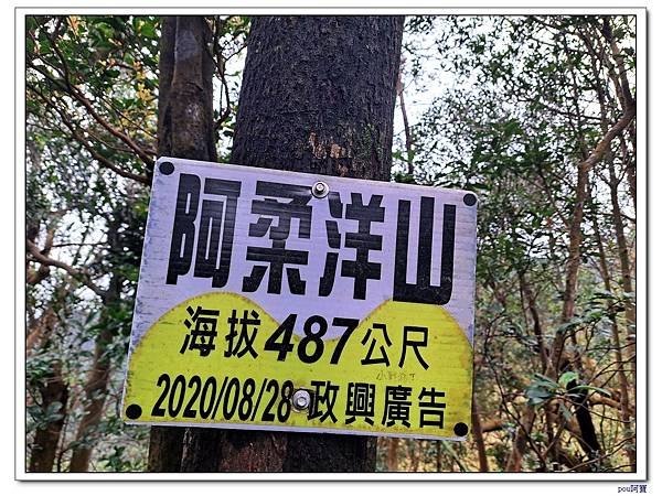 深坑 阿柔洋山 猴山岳 猴山岳前峰