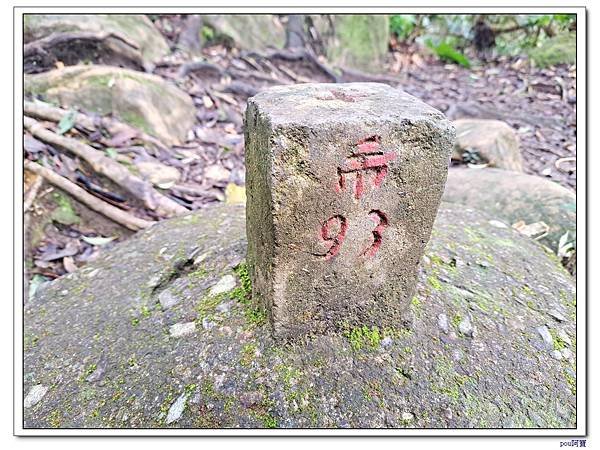 深坑 阿柔洋山 猴山岳 猴山岳前峰