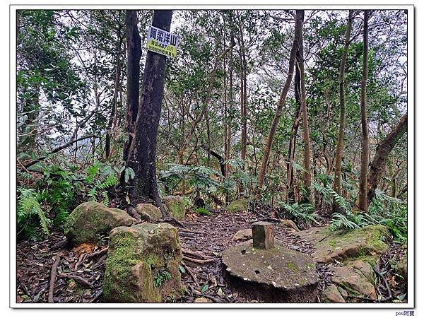 深坑 阿柔洋山 猴山岳 猴山岳前峰