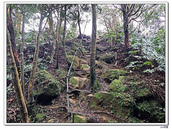 深坑 阿柔洋山 猴山岳 猴山岳前峰