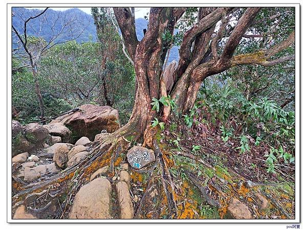 深坑 阿柔洋山 猴山岳 猴山岳前峰