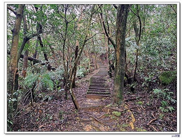 深坑 阿柔洋山 猴山岳 猴山岳前峰