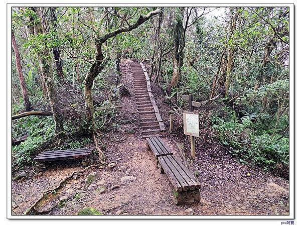 深坑 阿柔洋山 猴山岳 猴山岳前峰
